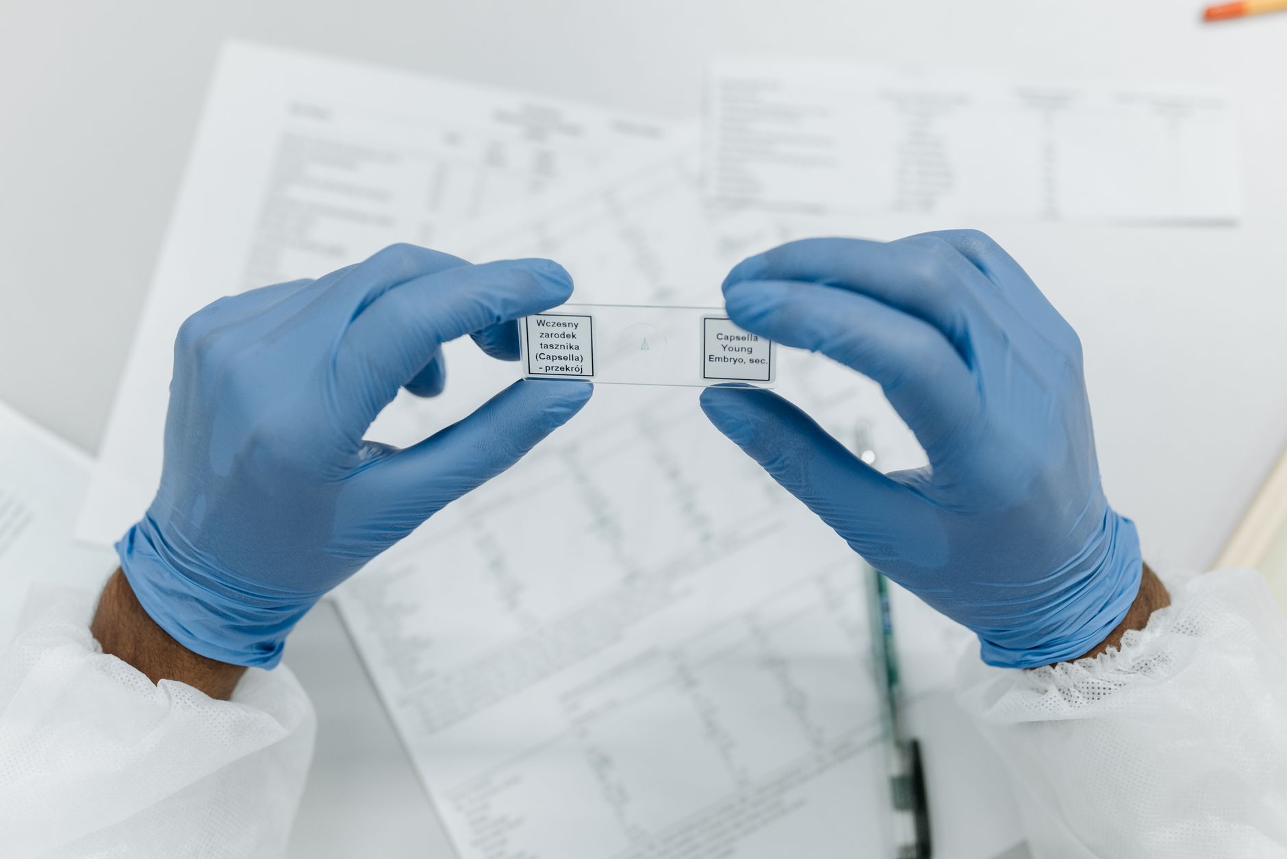 Badacz w niebieskich rękawiczkach trzyma oznakowane szkiełka laboratoryjne